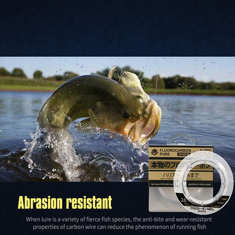 99% Fluorocarbon Fishing Line  - Copolymer Line ulasan dan harga